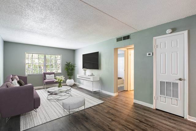 1-bedroom apartment at Bella Mar Apartment Homes in Tampa, FL